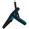 Nobby Mesh Preno Harnais Norvégien pour Chien Turquoise 50-64 cm + 42 ...
