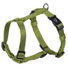 Nobby Harnais en Nylon pour Chien Vert 25 mm x 70/90 cm