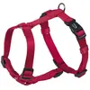 Nobby Harnais en Nylon pour Chien Vert 20 mm x 50/70 cm