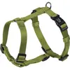 Nobby Vaisselle classique, coffre vert citron : 20/35 cm, L : 10 mm, 1 pièce
