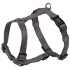 Nobby Harnais en Nylon pour Chien Taupe 10 mm x 25/35 cm