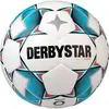 Derbystar Balle d'entraînement unisexe pour jeunes brillants S-Light DB Blanc 5