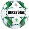 Derbystar Planet APS Balles de Jeu Blanc/Vert/Noir 5