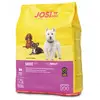 JosiDog Animology 5060180810122 ADD250 Shampooing pour chien Dirty Dawg Droog