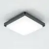 EVN, Applique + plafonnier, DAQH54141502 Luminaire à LED en saillie (1...