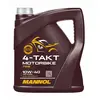 MANNOL 7812 (Moteur 4 Temps de Bike API SL, 4 l