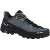 SALEWA ALP TRAINER 2 SCHOENEN 00-0000061402_8769 r 44