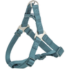 Trixie Hondentuig Premium One Touch Petrol - 40-50X1,5 Cm (S, Chien), ...