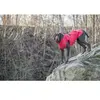Trixie Regenjas Hond - Vimy - Rood - Ruglengte 40 cm - M