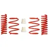Eibach Federn Chassis veren