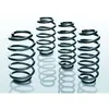 Eibach Federn Chassis veren