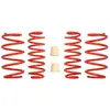 Eibach Chassis veren