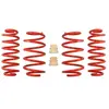 Eibach Federn Chassis veren
