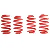 Eibach Federn Chassis veren