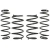 Eibach Federn Chassis veren
