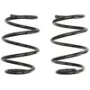 Eibach Federn Chassis veren