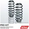 Eibach Chassis veren