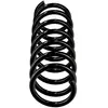 Chassisveer R10558 Eibach