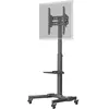 Goobay Présentoir TV Basic L (Universel, 70", 35 kg), Pied  TV, Noir