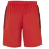 Uhlsport Goal Short Rood-Bordeaux Maat 116