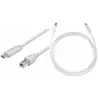 LogiLink Câble de connexion USB 2.0 type C vers USB (type B) Gris 1 m