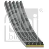 multi V-riemvoor startergenerator 183299 FEBI