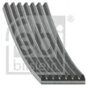 Multiriem 181652 FEBI