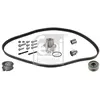 Distributieriemset 173075 FEBI