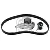 Distributieriemset 173346 FEBI