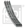 Poly V-riem 179058 FEBI
