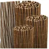 Sol Royal Canisse en Saule SolVision W79 500x160 cm haie Brise-Vue Bra...
