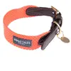 Collier Nomad Tales Bloom, corail pour chien  - taille L : tour de cou 46 - 52 cm, l 38 mm