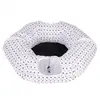 zooplus Exclusive Tunnel de jeu Donut 85 cm de diamètre x H 25 cm - pour chat