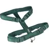 Harnais Nomad Tales Blush, émeraude pour chien  - taille XL : tour de poitrail 69 - 105 cm, l 25 mm
