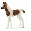Schleich Horse Club Poulain Pintabian