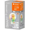 Ledvance, Ampoule, transparent (E27, 4.80 W, 470 lm, 1 x, F)