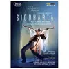 Uvm Distrib Cnt Siddharta DVD