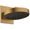 Hansgrohe Rainfinity - Douchekop, diameter 25 cm, 3 stralen, EcoSmart,...