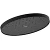 hansgrohe, Pommeau de douche, Testa Doccia Activera S (1 Types de jets...