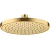 Axor, Pommeau de douche, ShowerSolutions pomme de douche 220, 1 type d...