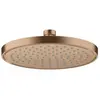 Axor, Pommeau de douche, ShowerSolutions pomme de douche 220, 1 type d...