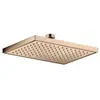 Axor, Pommeau de douche, ShowerSolutions Pomme de douche 245/185, 1 je...