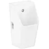 hansgrohe, Cuvette toilettes + bidet, EluPura Original Q urinoir, sans...