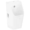 hansgrohe, Cuvette toilettes + bidet, EluPura Original Q urinoir, sans...
