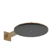 hansgrohe, Pommeau de douche, Raindance Alive S Douche de tête 300 2je...