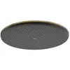 Hansgrohe Raindance Alive S - Hoofddouche - diameter 30 cm - geborstel...