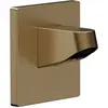 Hansgrohe Pulsify - Douchearm, 8 cm, geborsteld brons 24139140