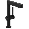 Mitigeur de lavabo HANSGROHE - modèle 230 - bonde Push-Open noir mat F...
