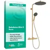 hansgrohe Raindance Alive S Puro - Showerpipe - Ecostat thermostaat - ...