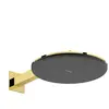 hansgrohe, Pommeau de douche, Raindance Alive S Douche de tête 300 2je...